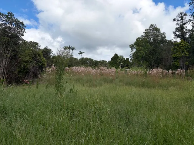 $42,000 | 18-1974 Lot 133 Hapuu Nani Road, Mountain View, HI 96771