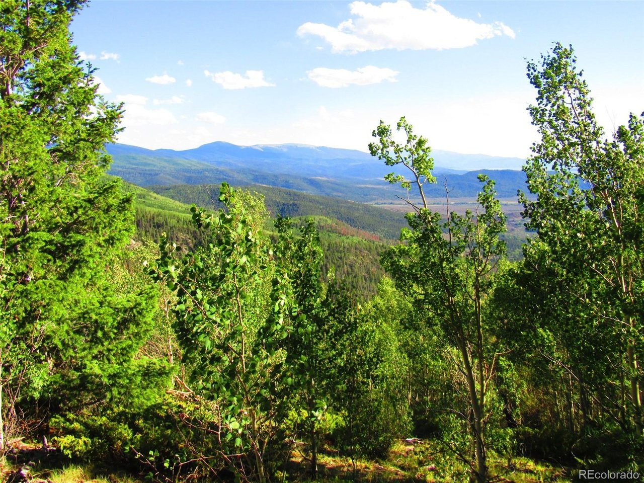 6427 Laffin Road San Luis, CO 81152 - Photo 34 of 42 a view of a bunch of trees