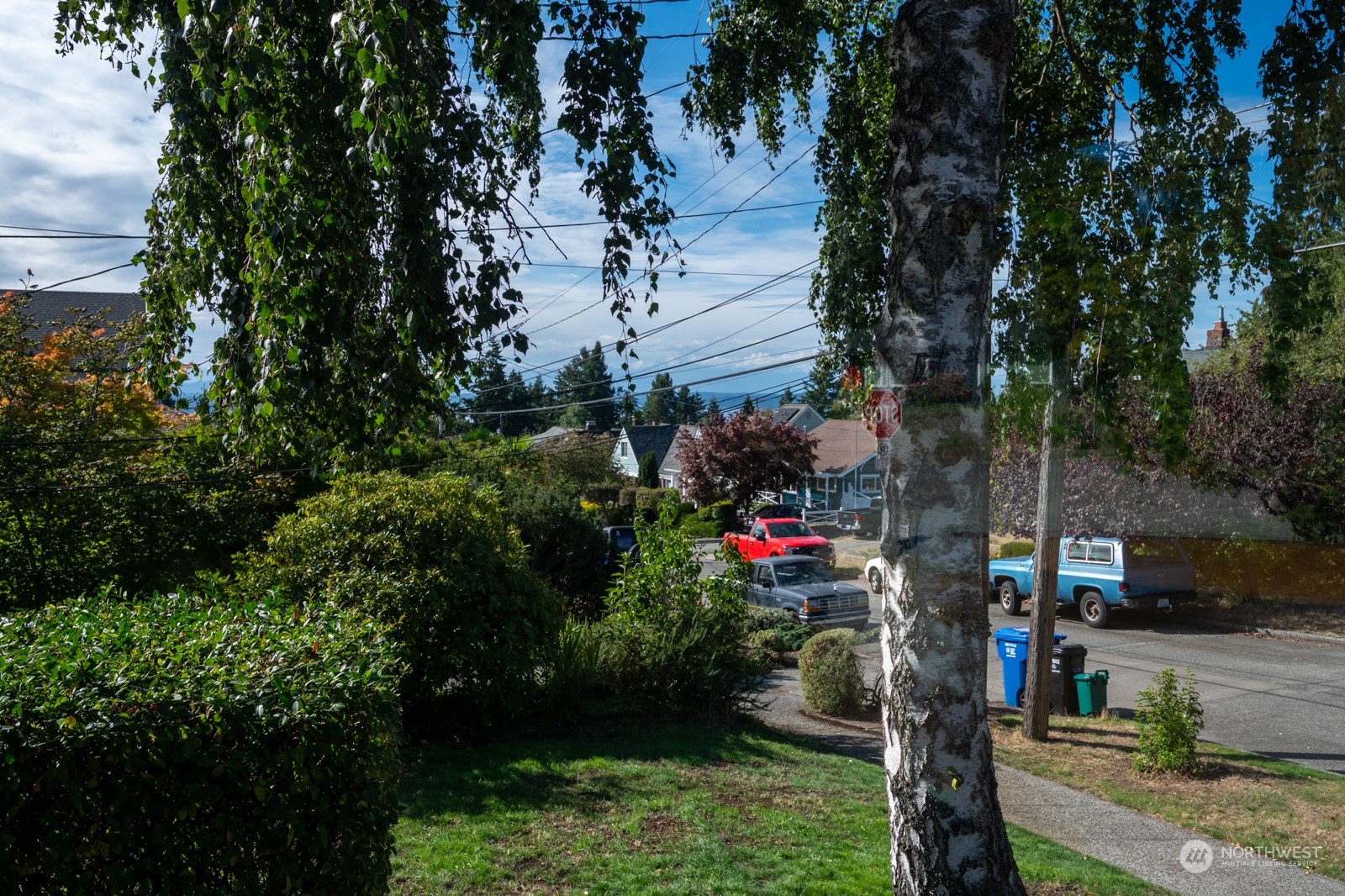 4105 Southwest Monroe Street Seattle, WA 98136 - Photo 13 of 31 a view of yard with green space
