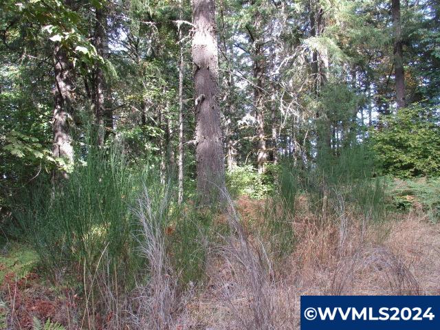 0 Northwest Crane (3) Road Yamhill, OR 97148 - Photo 4 of 14
