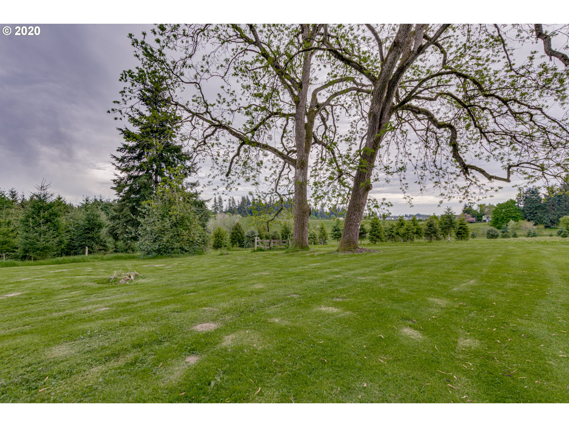 1650 North Royle Road Ridgefield, WA 98642 - Photo 20 of 32 a big yard with lots of green space