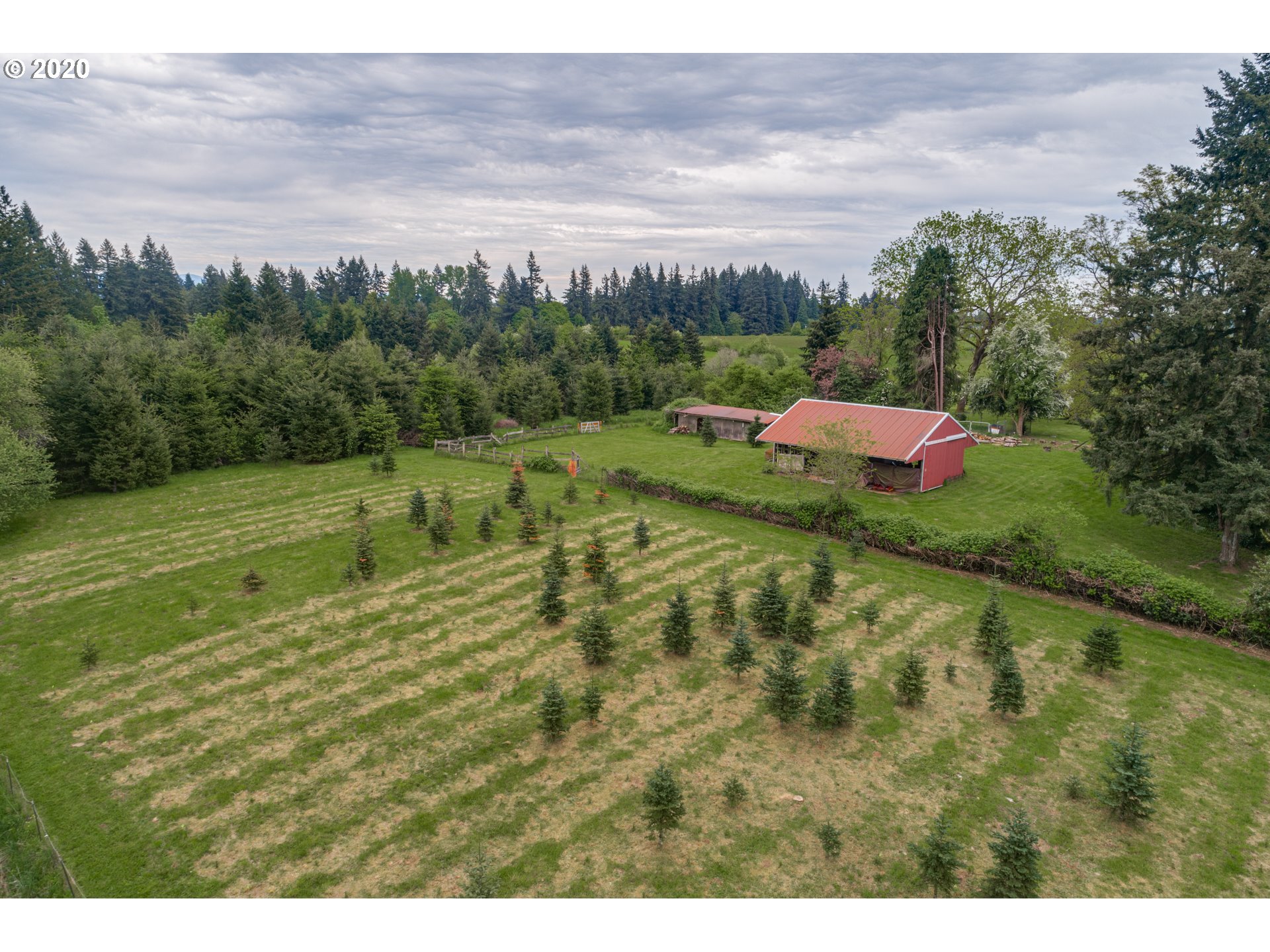 1650 North Royle Road Ridgefield, WA 98642 - Photo 28 of 32 a view of a big yard with an outdoor space