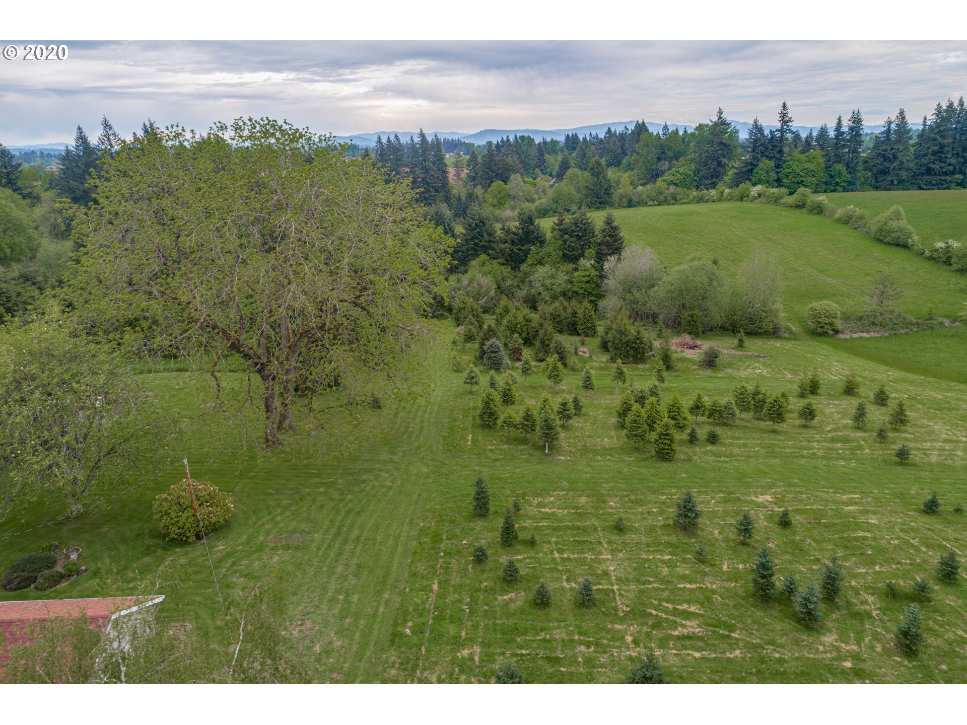 1650 North Royle Road Ridgefield, WA 98642 - Photo 30 of 32 a view of a lush green field