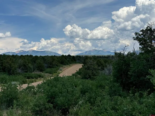 a view of a lake in middle of forest