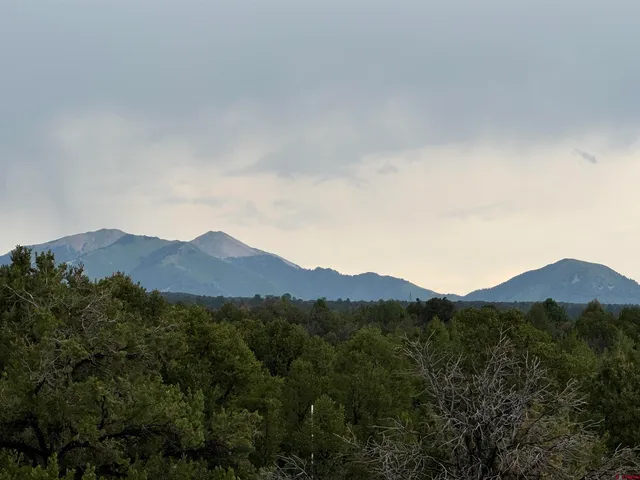 a view of a mountain range with a lush green forest