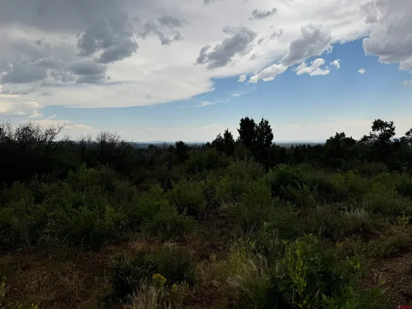 a view of a city and mountain view