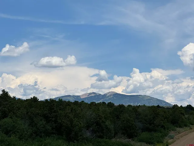 a black and white photo of a street