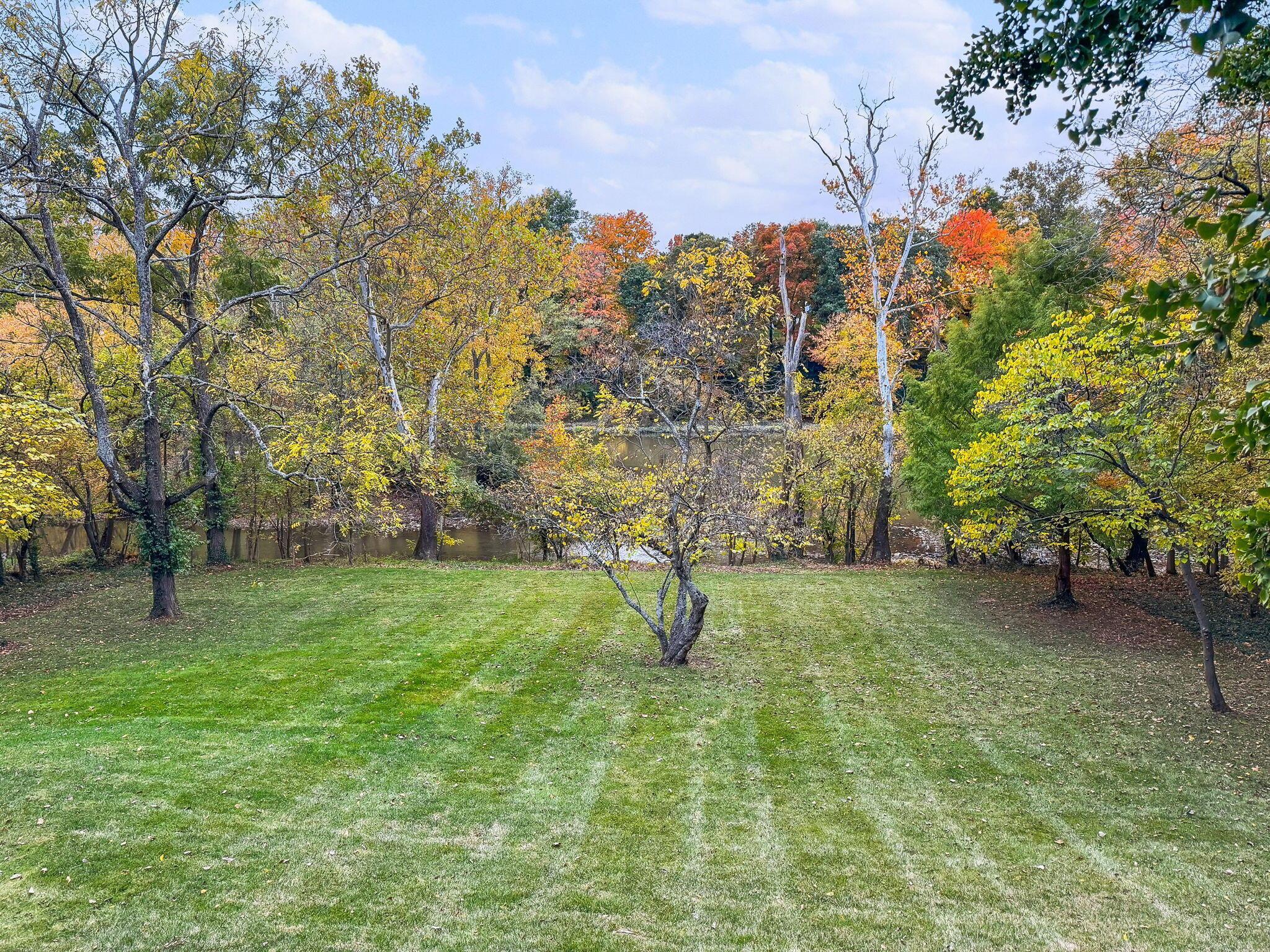 8225 Riverside Drive Powell, OH 43065 - Photo 71 of 79 51-web-or-mls-IMG_8424