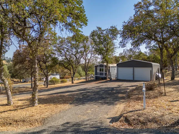 a view of a yard with a large tree