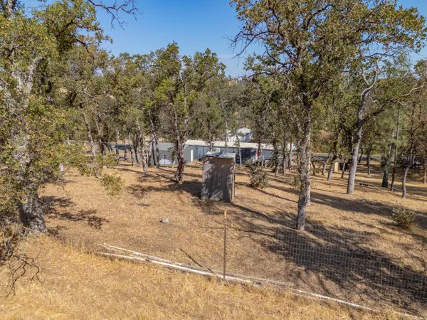 a view of backyard with trees