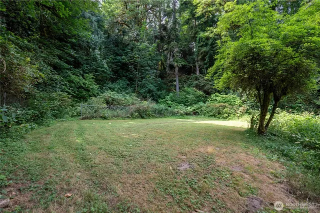 a view of a field with trees in the background