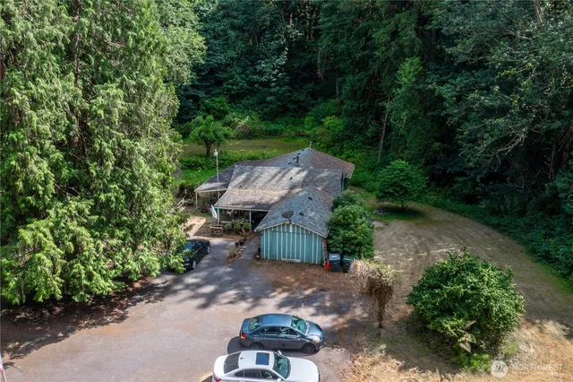a view of a big yard with plants and large trees