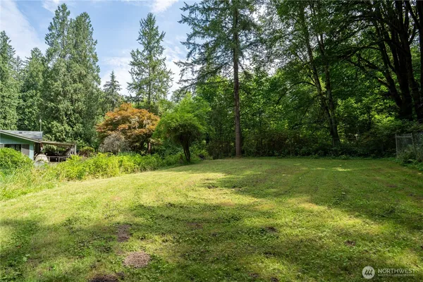 a view of a forest with a street