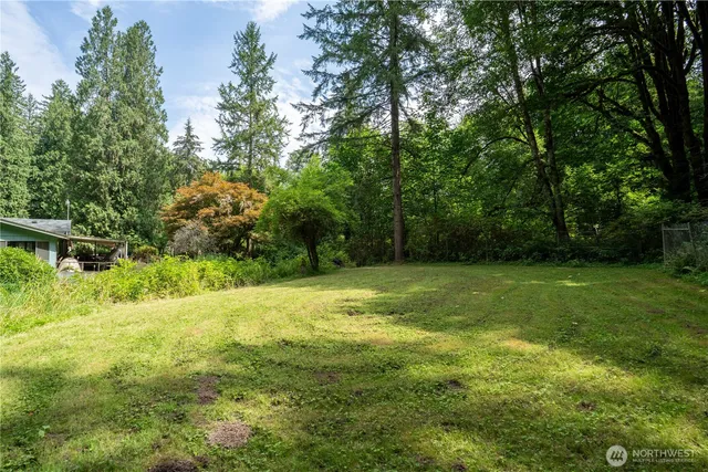 a view of a forest with a street