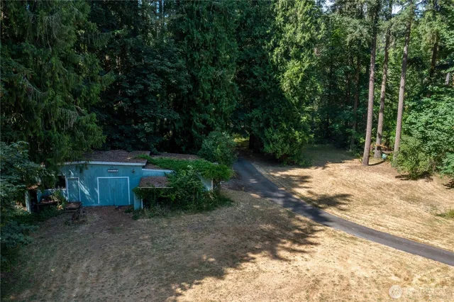 a view of a yard with of trees