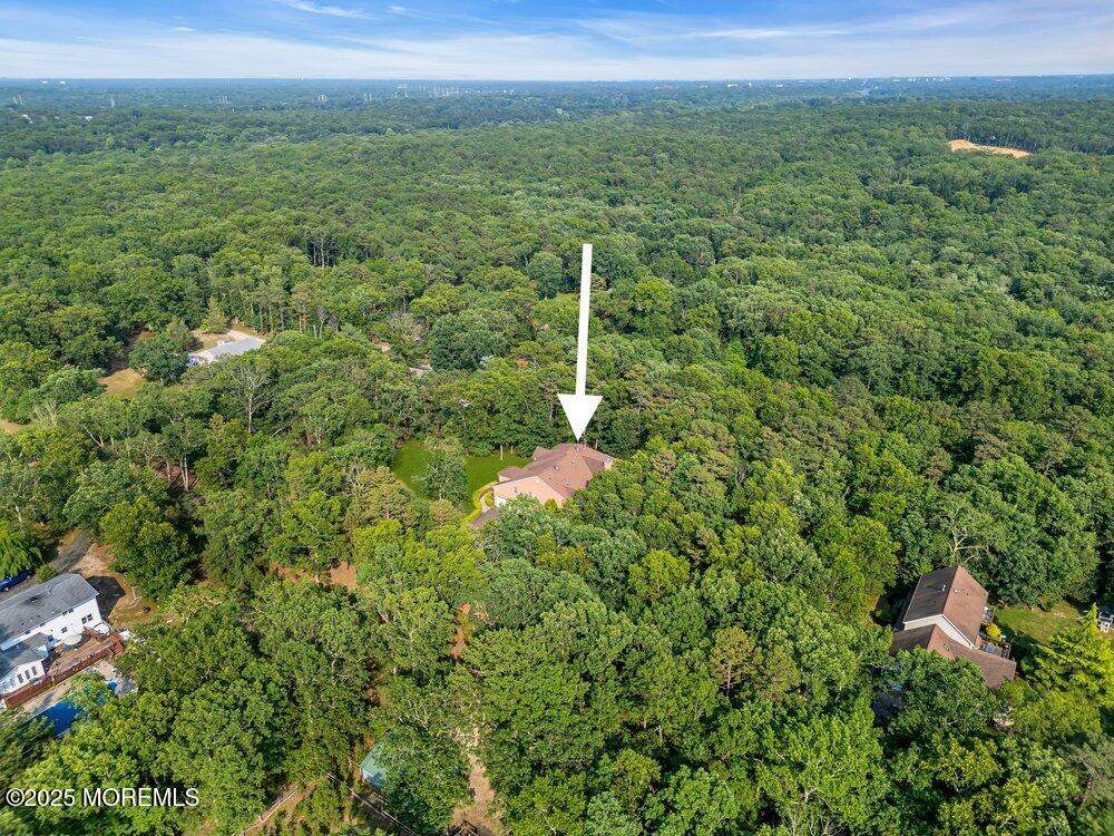 312 Clearstream Road Jackson, NJ 08527 - Photo 8 of 99 092_dji_0713-1_b_704