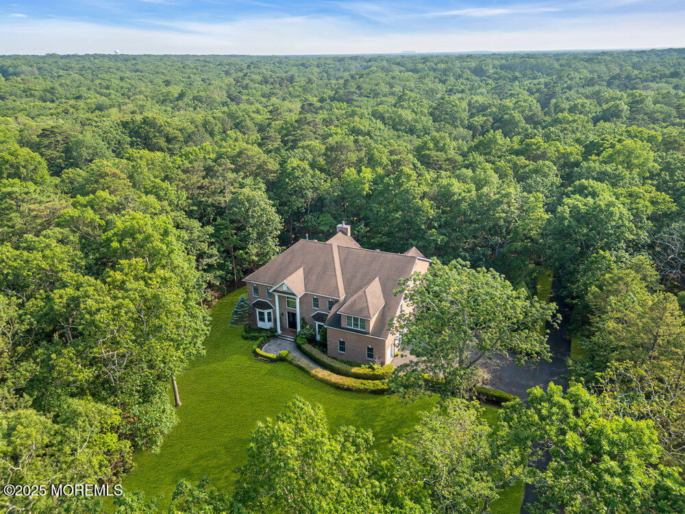 312 Clearstream Road Jackson, NJ 08527 - Photo 86 of 99 094_dji_0728-1_807