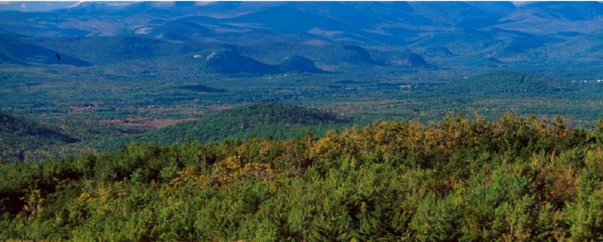 Lot 3 Brownfield Road, Unit LOT 3 R1133B Center Conway, NH 03813 - Photo 6 of 12 Gallery Image 6