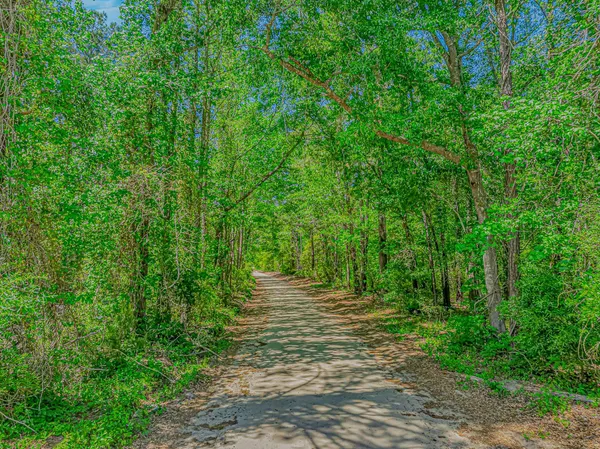 $325,000 | Tbd Piney Grove Church Road, Gresham, SC 29546