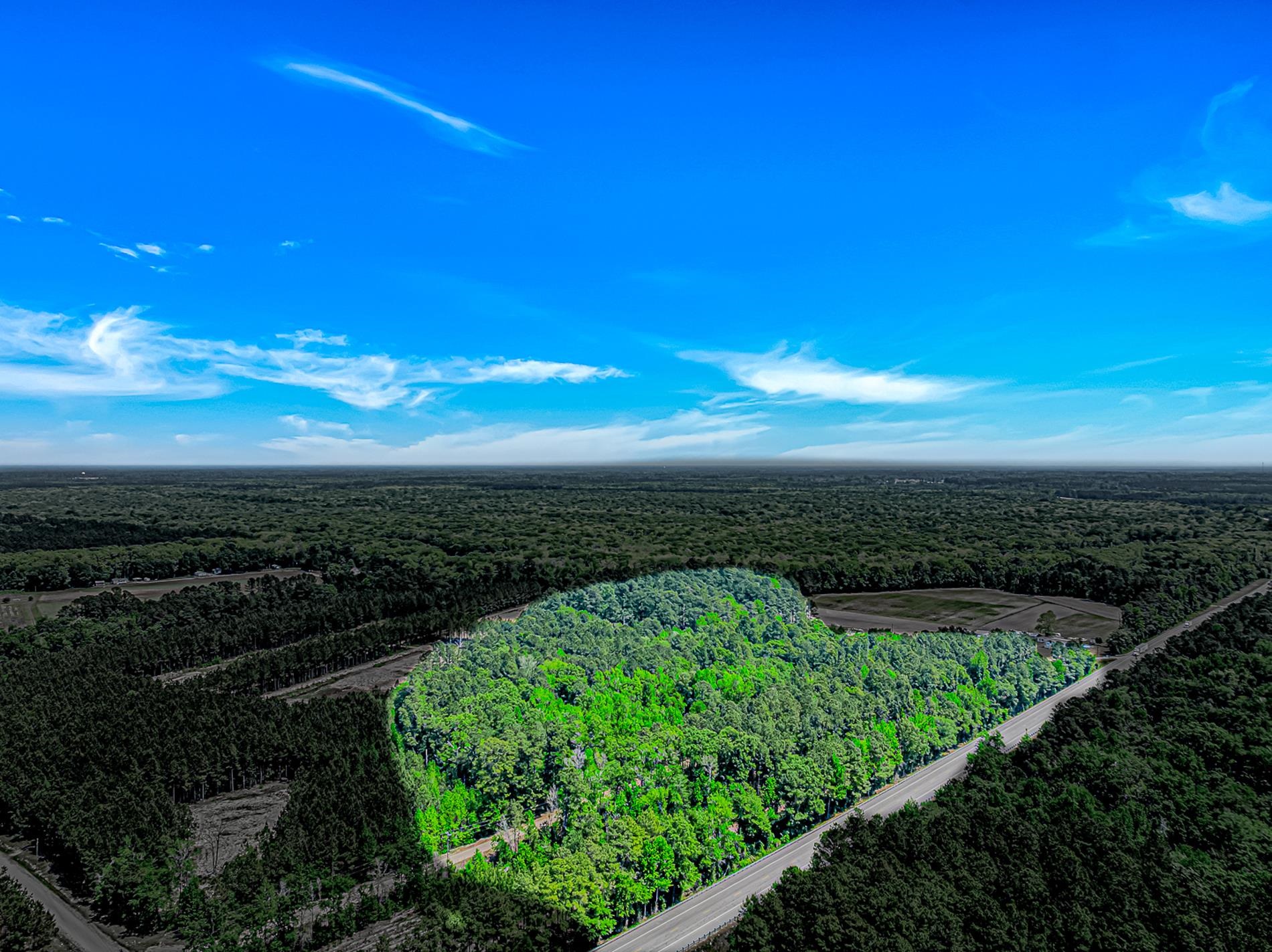 Tbd Piney Grove Church Road Gresham, SC 29546 - Photo 2 of 8