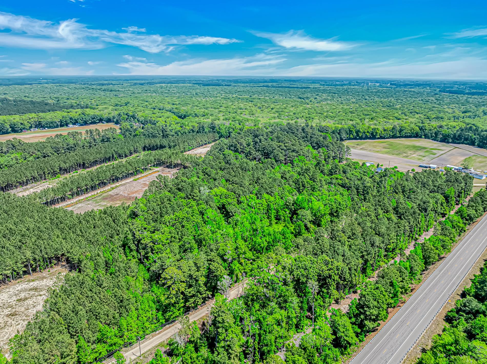 Tbd Piney Grove Church Road Gresham, SC 29546 - Photo 5 of 8