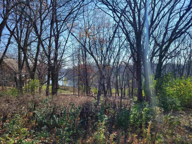 a view of outdoor space and yard