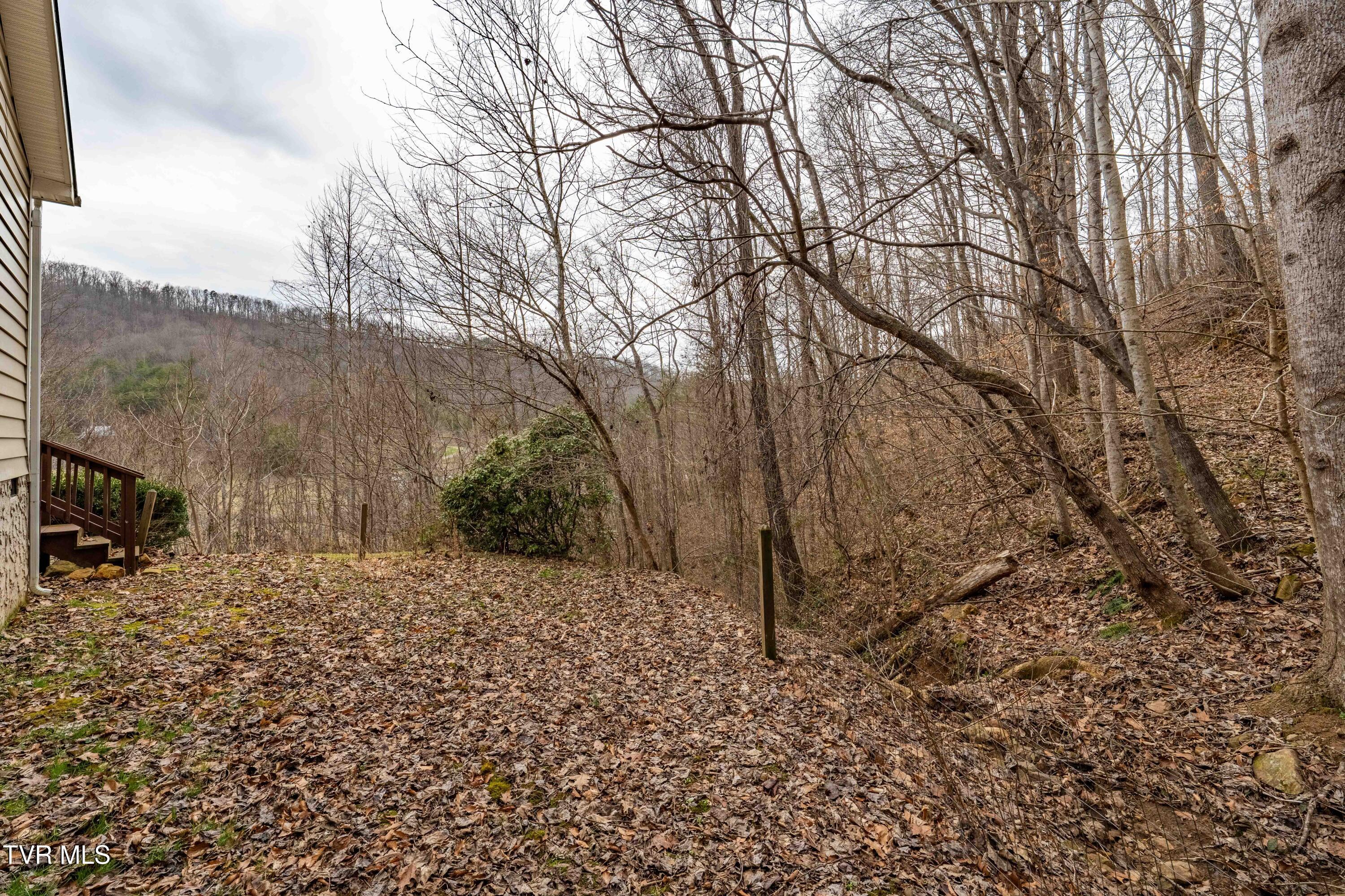 555 Butcher Valley Road Rogersville, TN 37857 - Photo 47 of 89 555 Butcher Valley Rd (43 of 90)