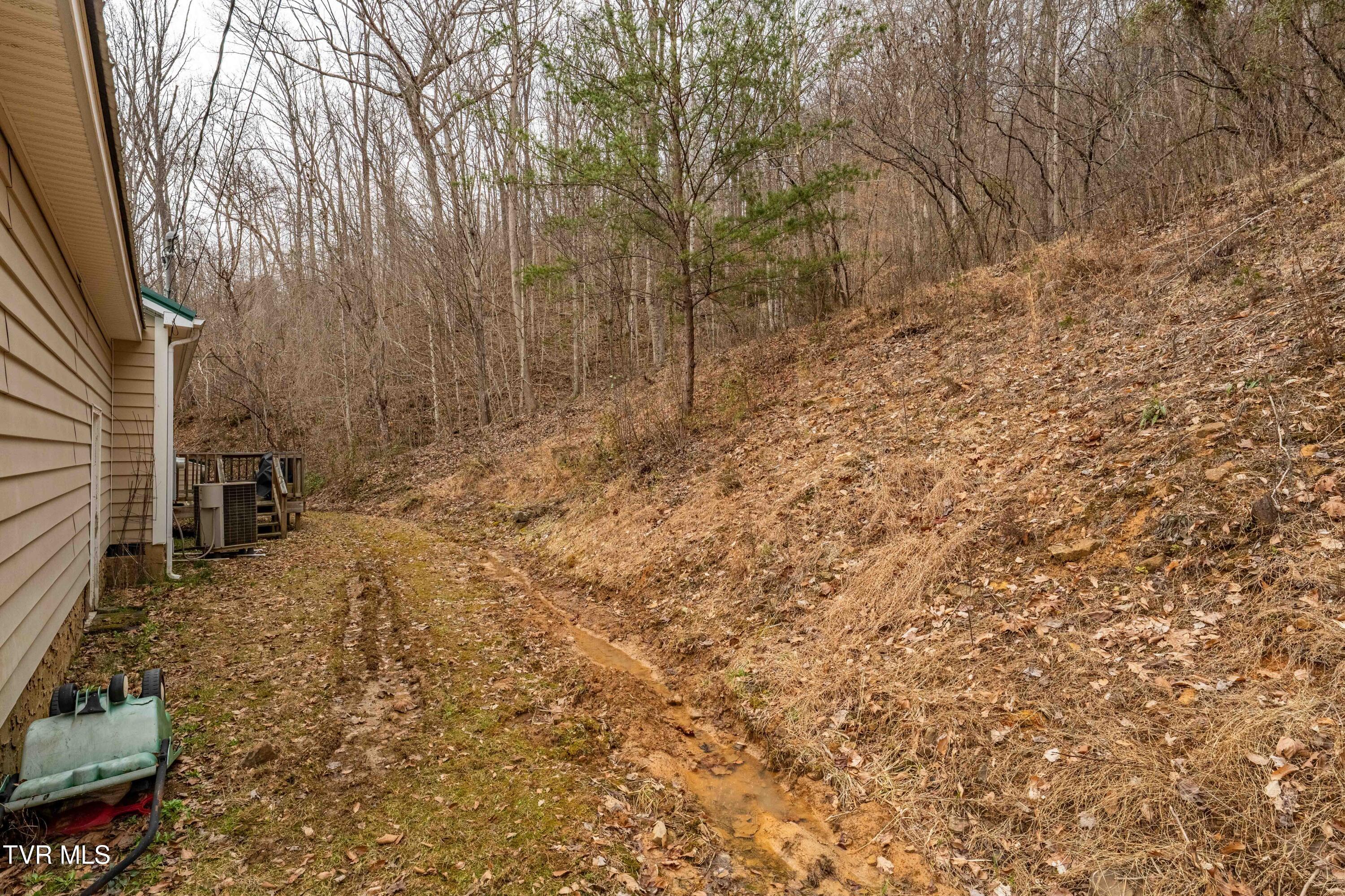 555 Butcher Valley Road Rogersville, TN 37857 - Photo 54 of 89 555 Butcher Valley Rd (51 of 90)