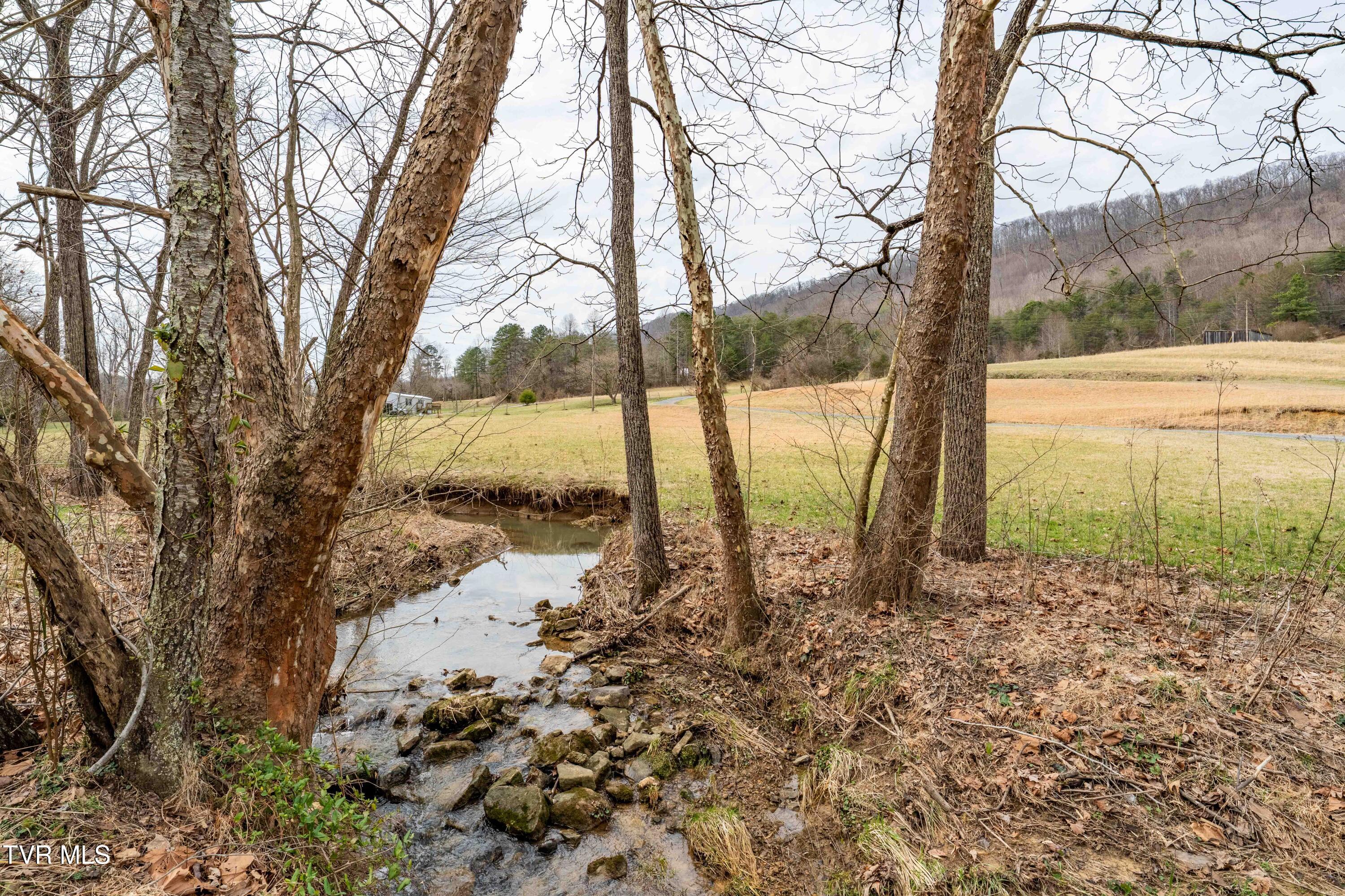 555 Butcher Valley Road Rogersville, TN 37857 - Photo 61 of 89 555 Butcher Valley Rd (58 of 90)