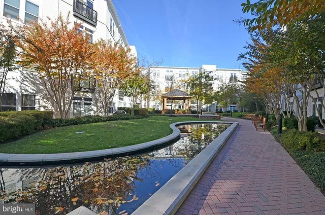 a view of a two chairs in a yard
