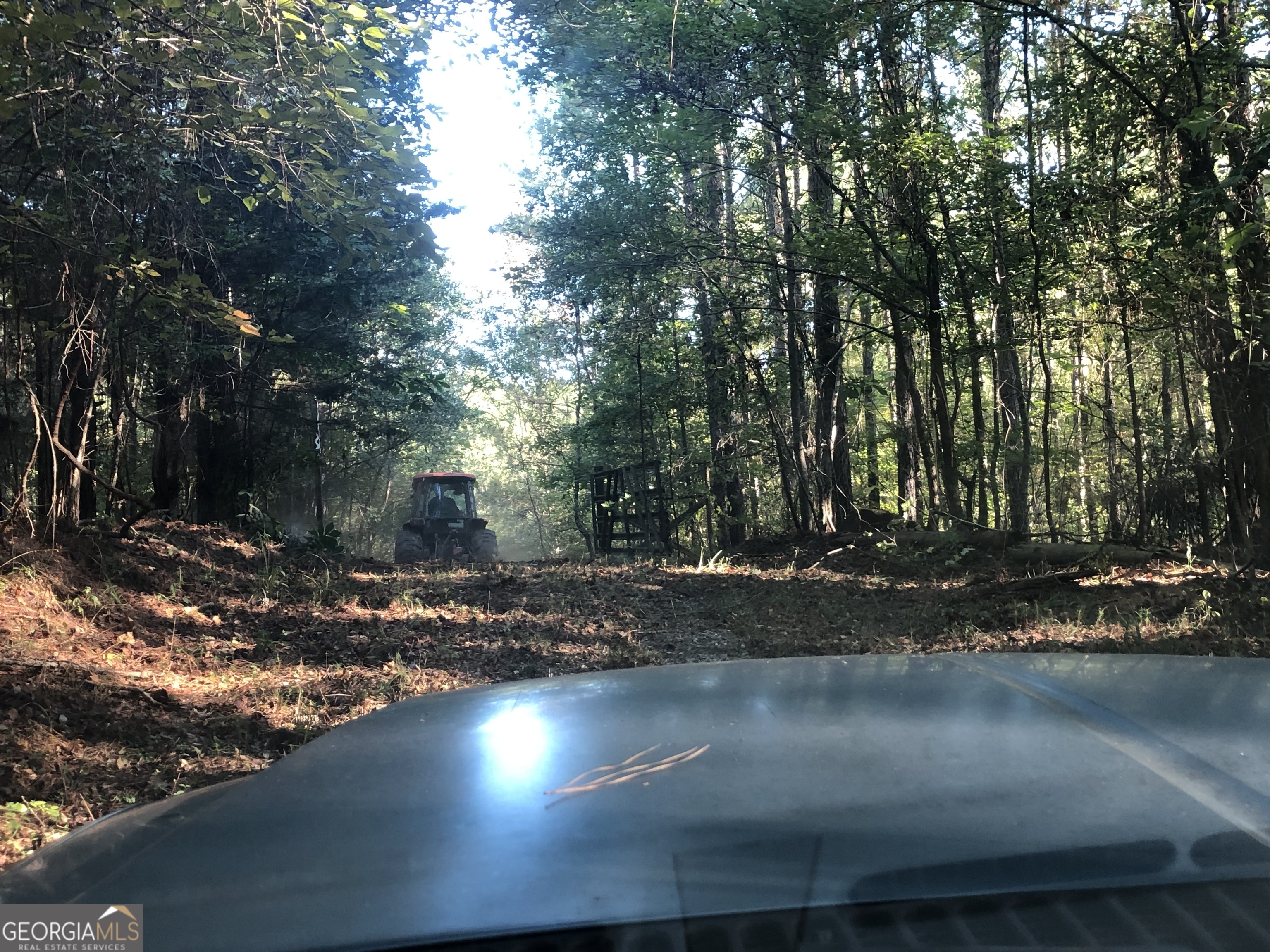 Lot 10 Triune Mill Road Thomaston, GA 30286 - Photo 11 of 29 a view of a lake view