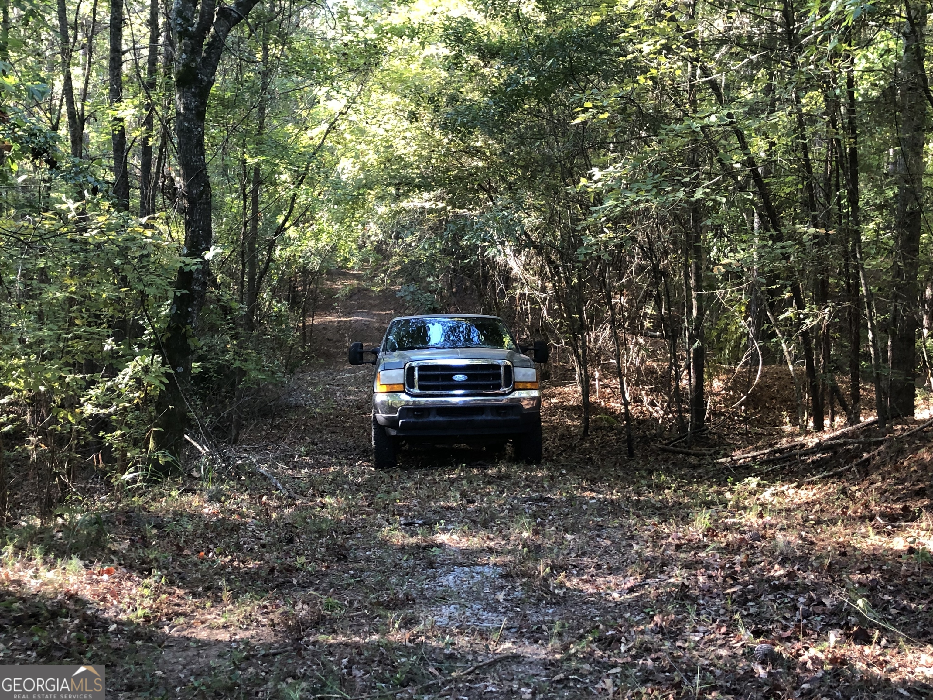Lot 10 Triune Mill Road Thomaston, GA 30286 - Photo 12 of 29 a house view with a backyard space