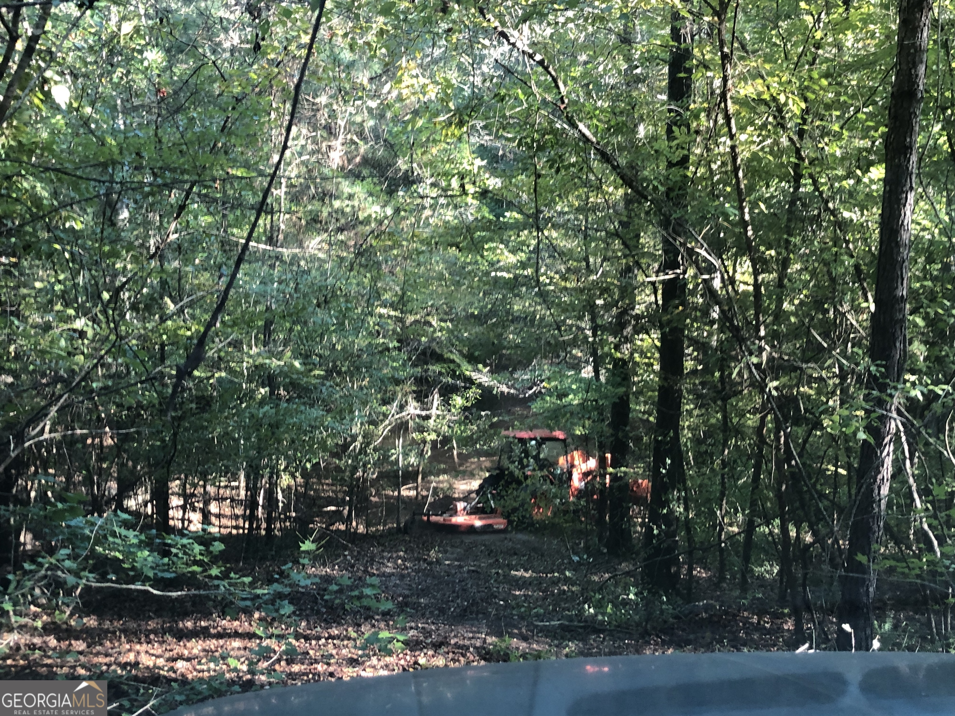 Lot 10 Triune Mill Road Thomaston, GA 30286 - Photo 13 of 29 a view of yard