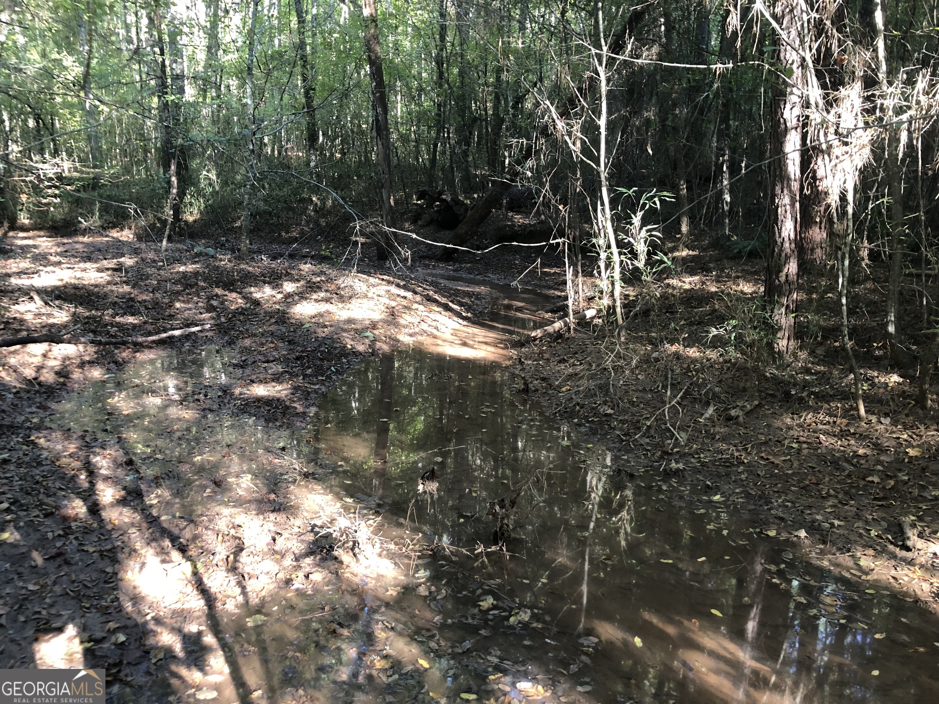 Lot 10 Triune Mill Road Thomaston, GA 30286 - Photo 17 of 29 a view of outdoor space and yard