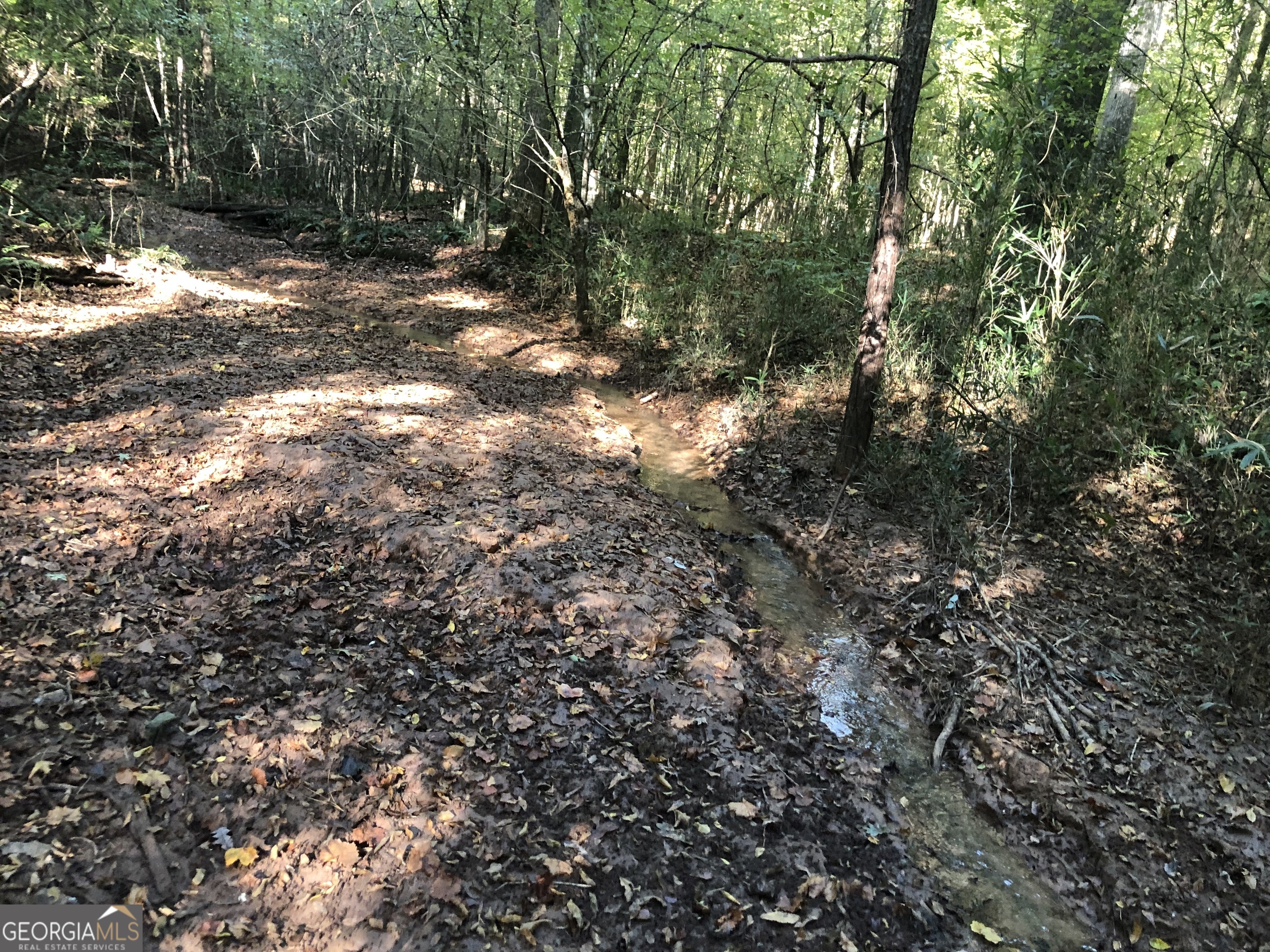Lot 10 Triune Mill Road Thomaston, GA 30286 - Photo 18 of 29 a view of a tree in a yard