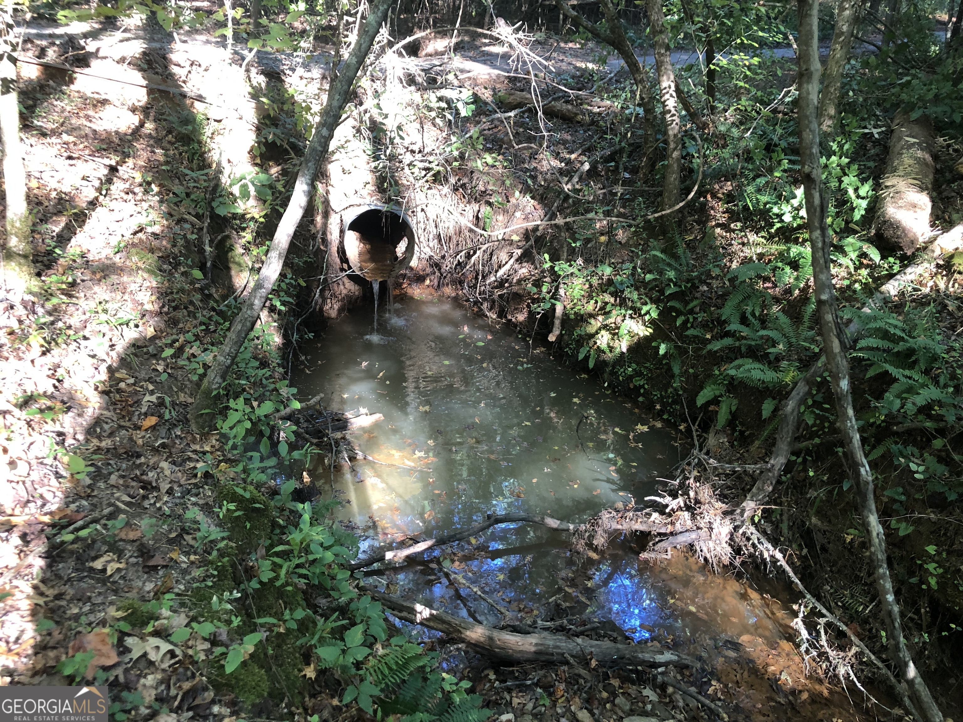 Lot 10 Triune Mill Road Thomaston, GA 30286 - Photo 19 of 29 a picture of tree