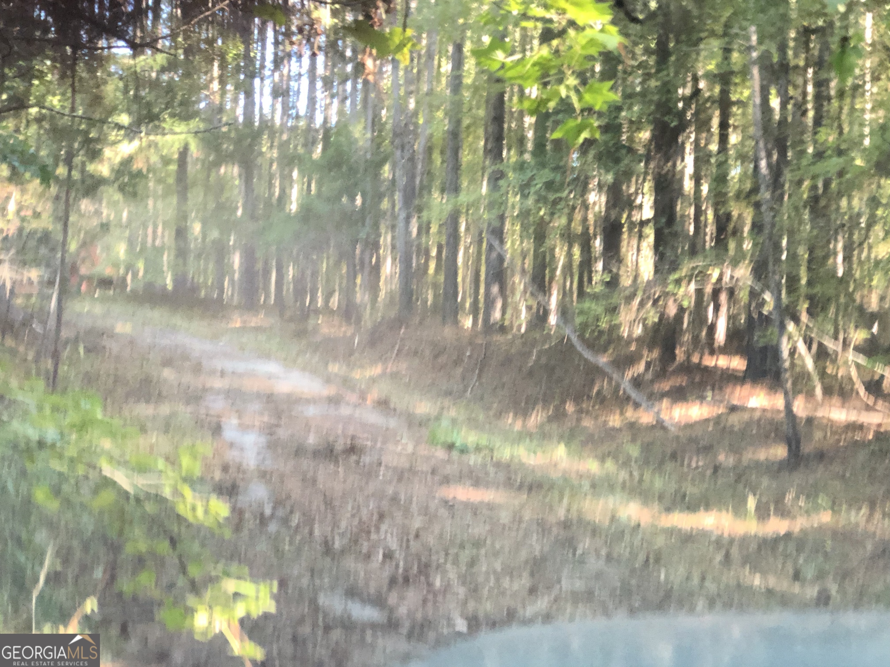 Lot 10 Triune Mill Road Thomaston, GA 30286 - Photo 20 of 29 a backyard of a house