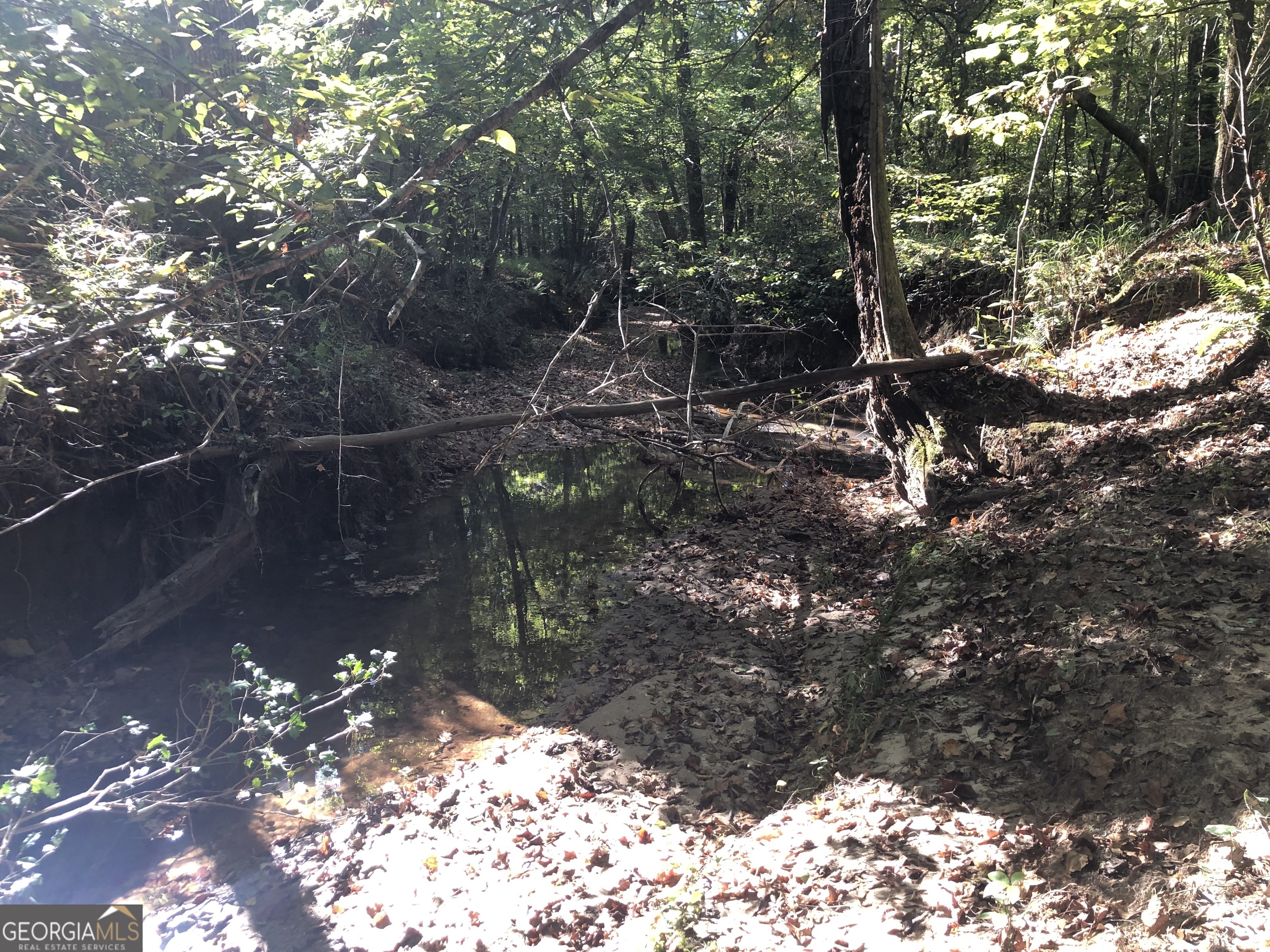 Lot 10 Triune Mill Road Thomaston, GA 30286 - Photo 21 of 29 a backyard of a house