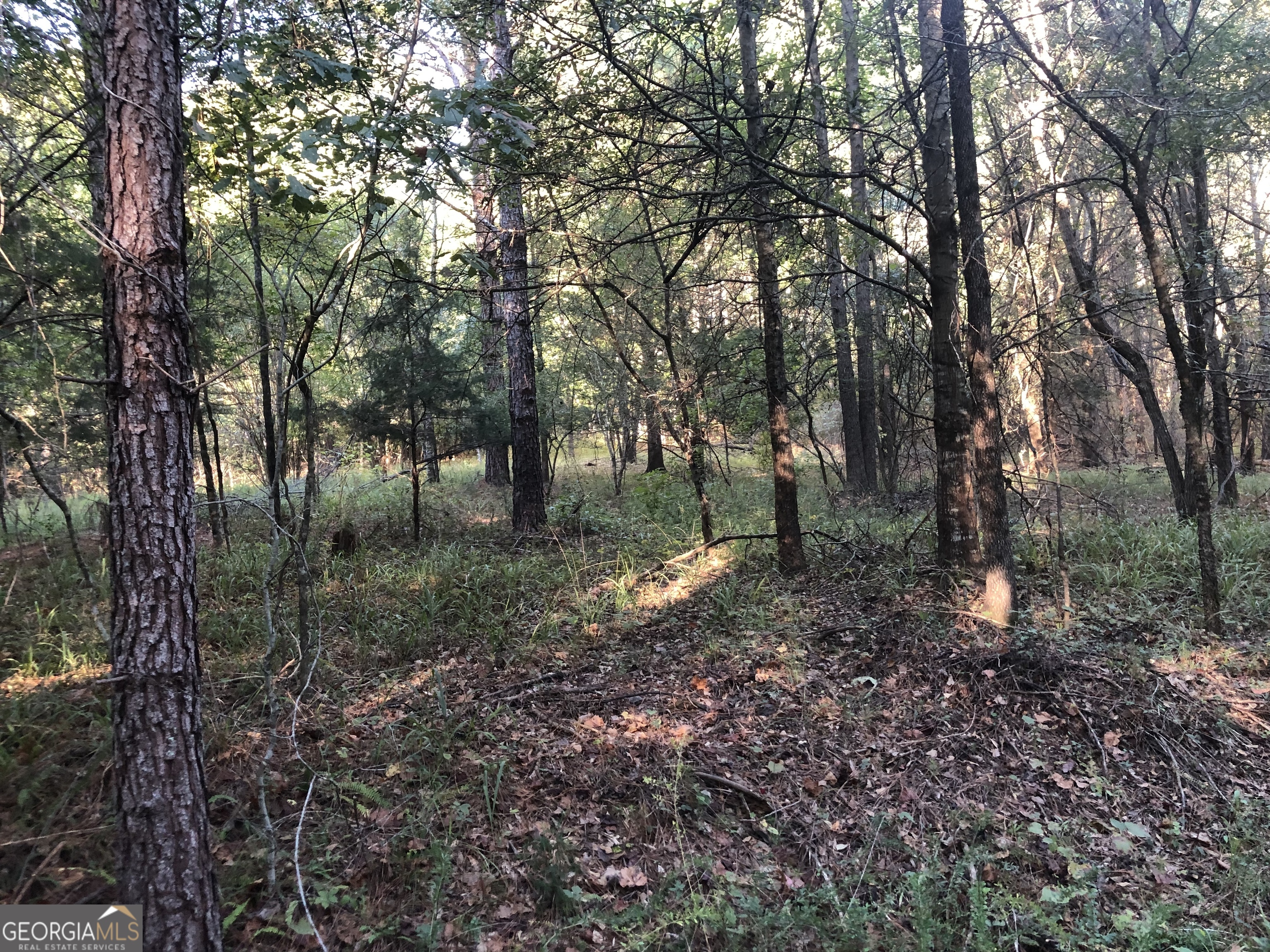 Lot 10 Triune Mill Road Thomaston, GA 30286 - Photo 23 of 29 a view of a forest with trees in the background