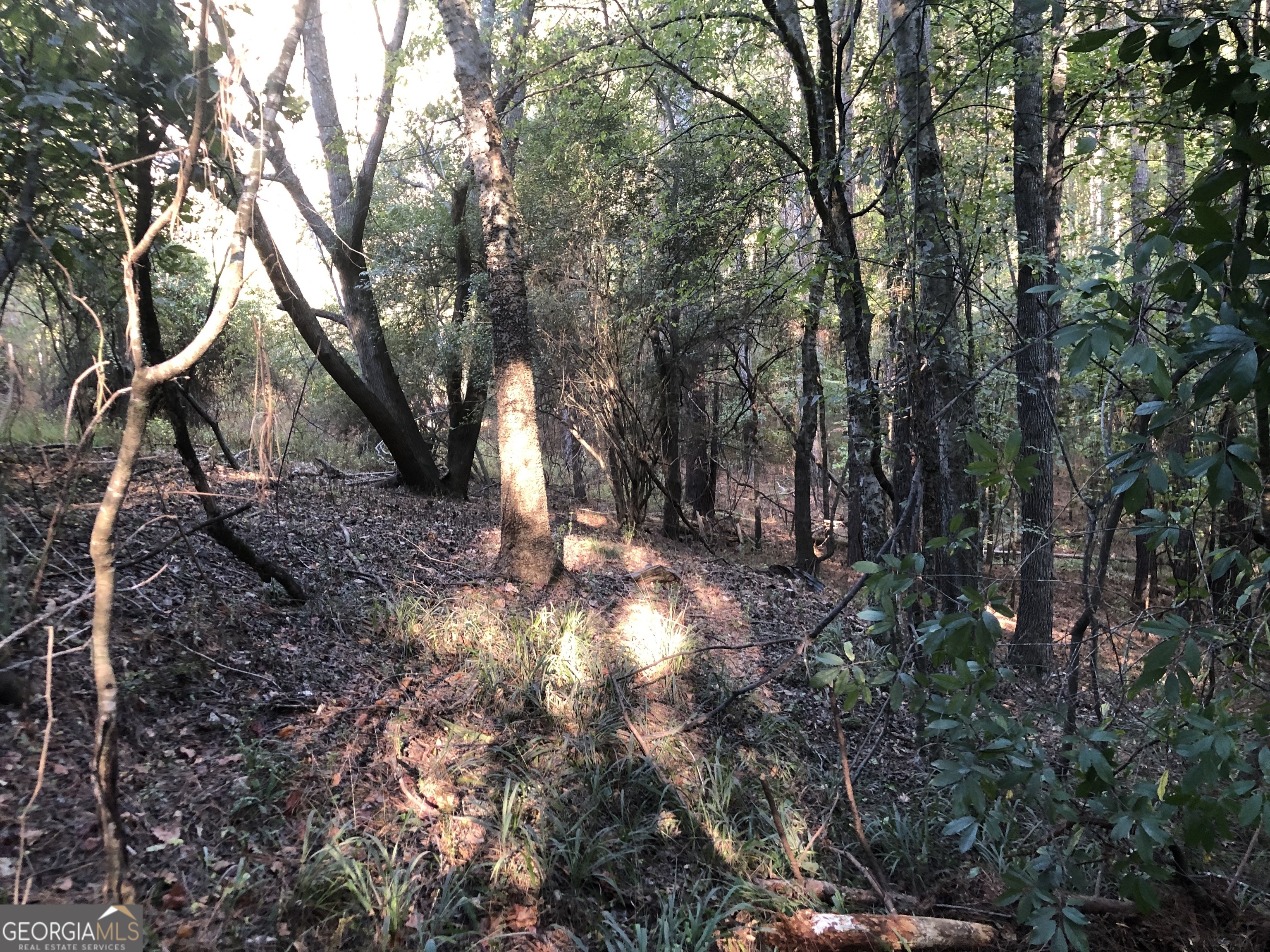 Lot 10 Triune Mill Road Thomaston, GA 30286 - Photo 24 of 29 a backyard of a house with lots of green space