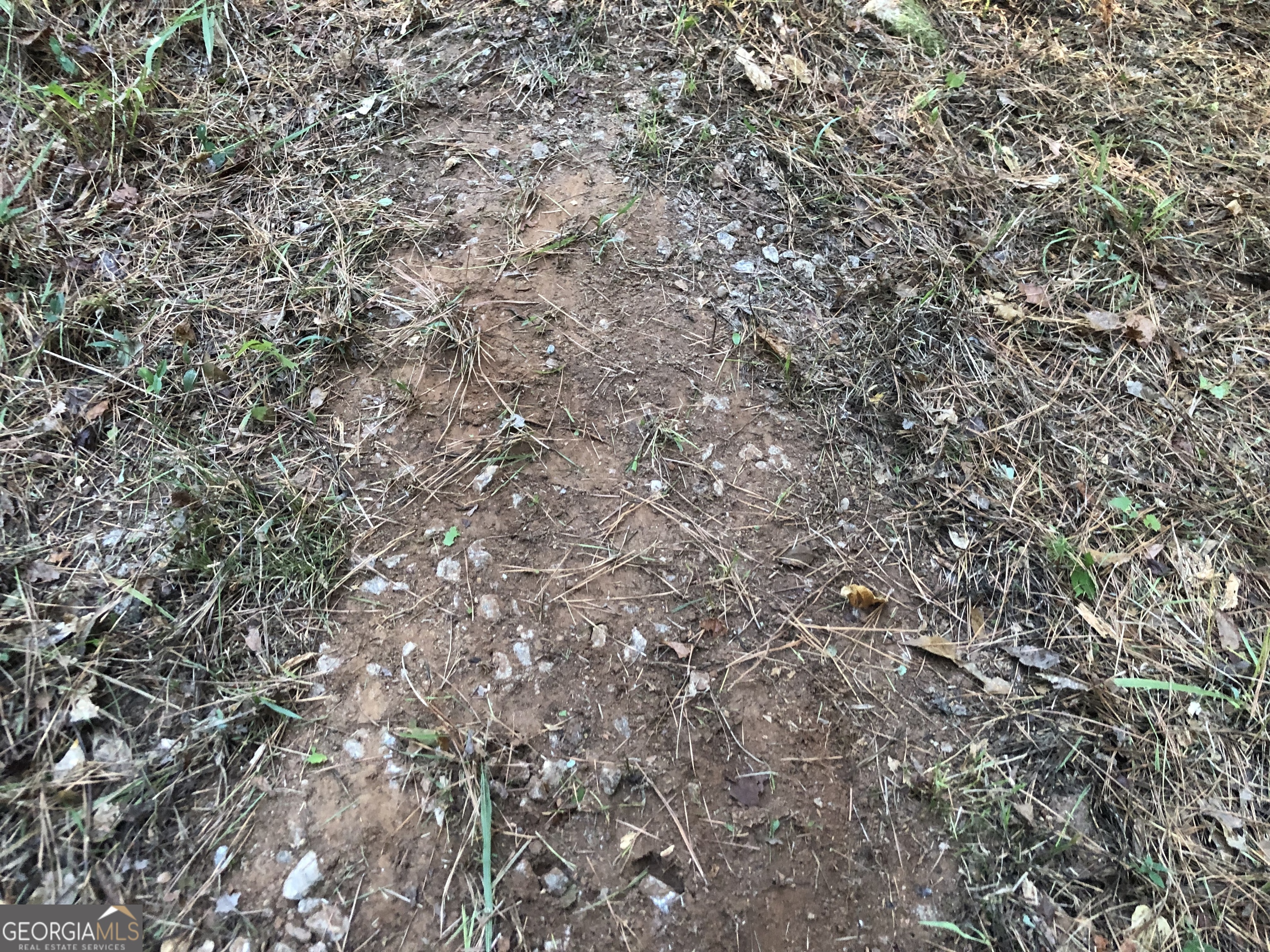 Lot 10 Triune Mill Road Thomaston, GA 30286 - Photo 25 of 29 a view of a tree