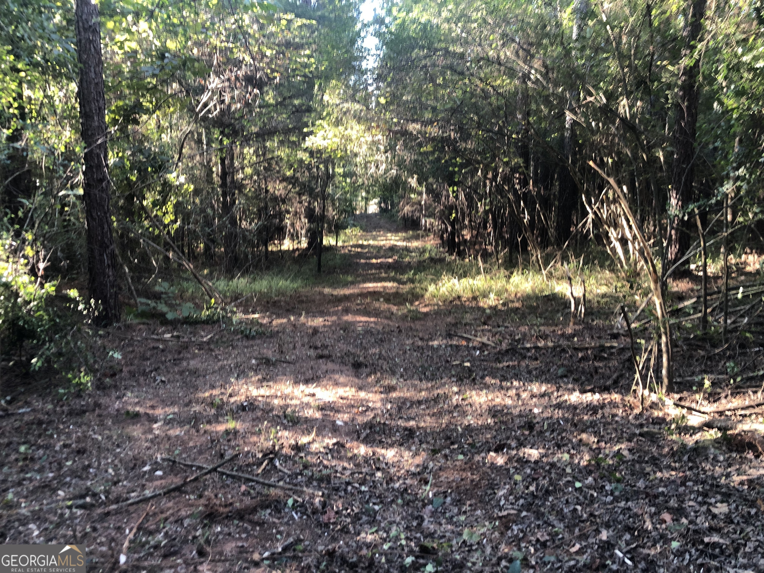 Lot 10 Triune Mill Road Thomaston, GA 30286 - Photo 4 of 29 a view of a yard with plants and trees