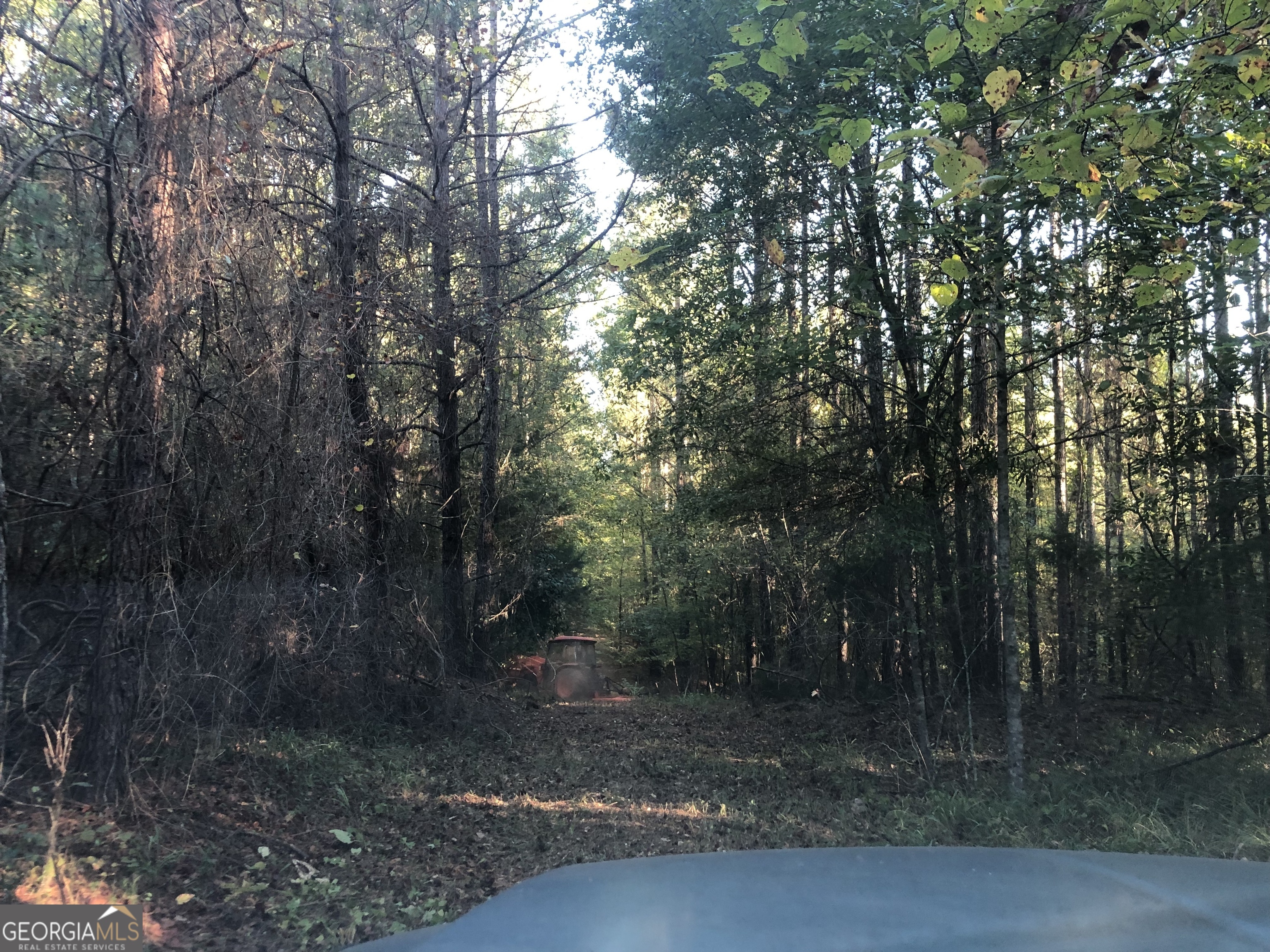 Lot 10 Triune Mill Road Thomaston, GA 30286 - Photo 6 of 29 a view of a forest filled with trees