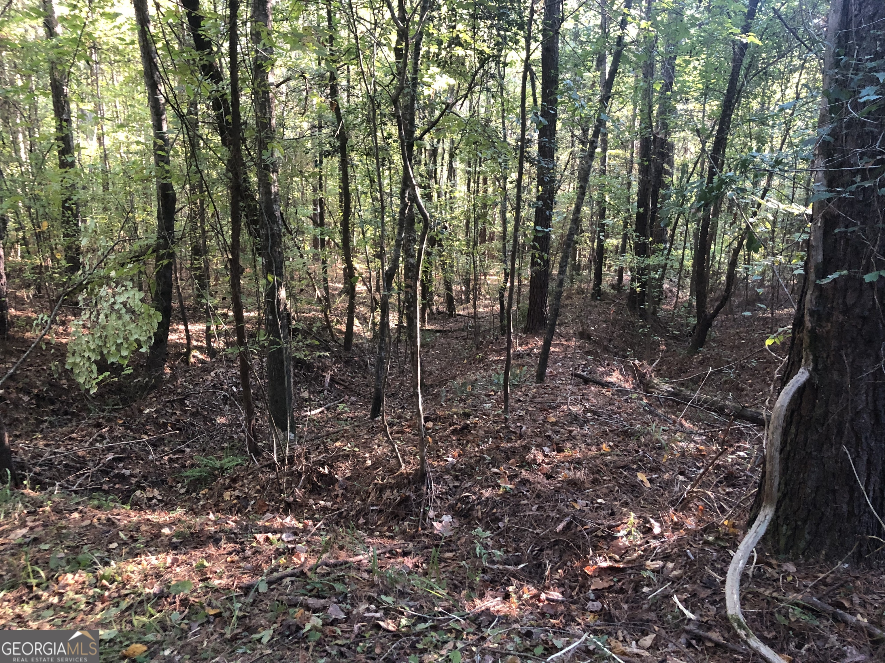 Lot 10 Triune Mill Road Thomaston, GA 30286 - Photo 7 of 29 a view of outdoor space