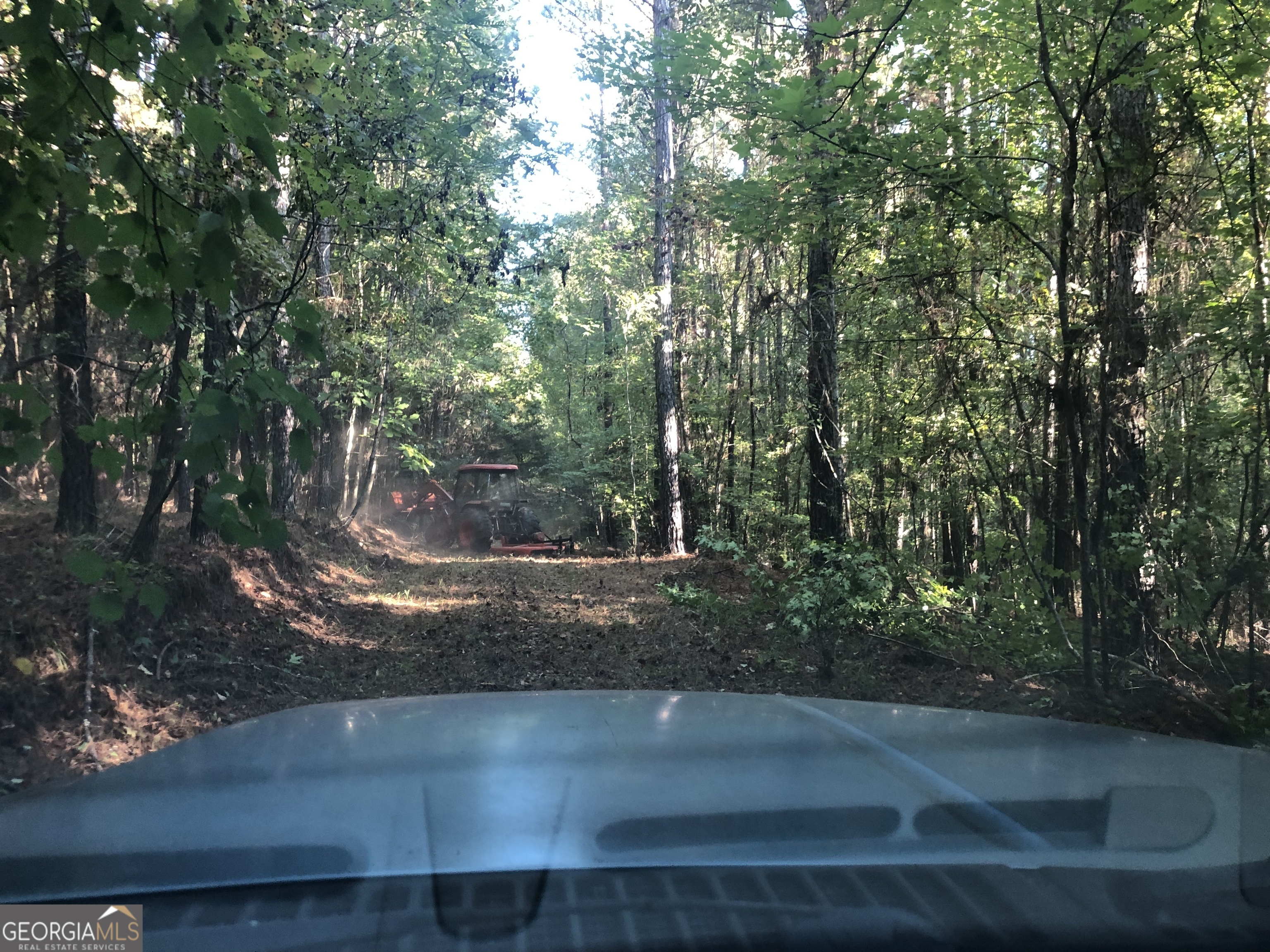 Lot 10 Triune Mill Road Thomaston, GA 30286 - Photo 8 of 29 a view of a yard