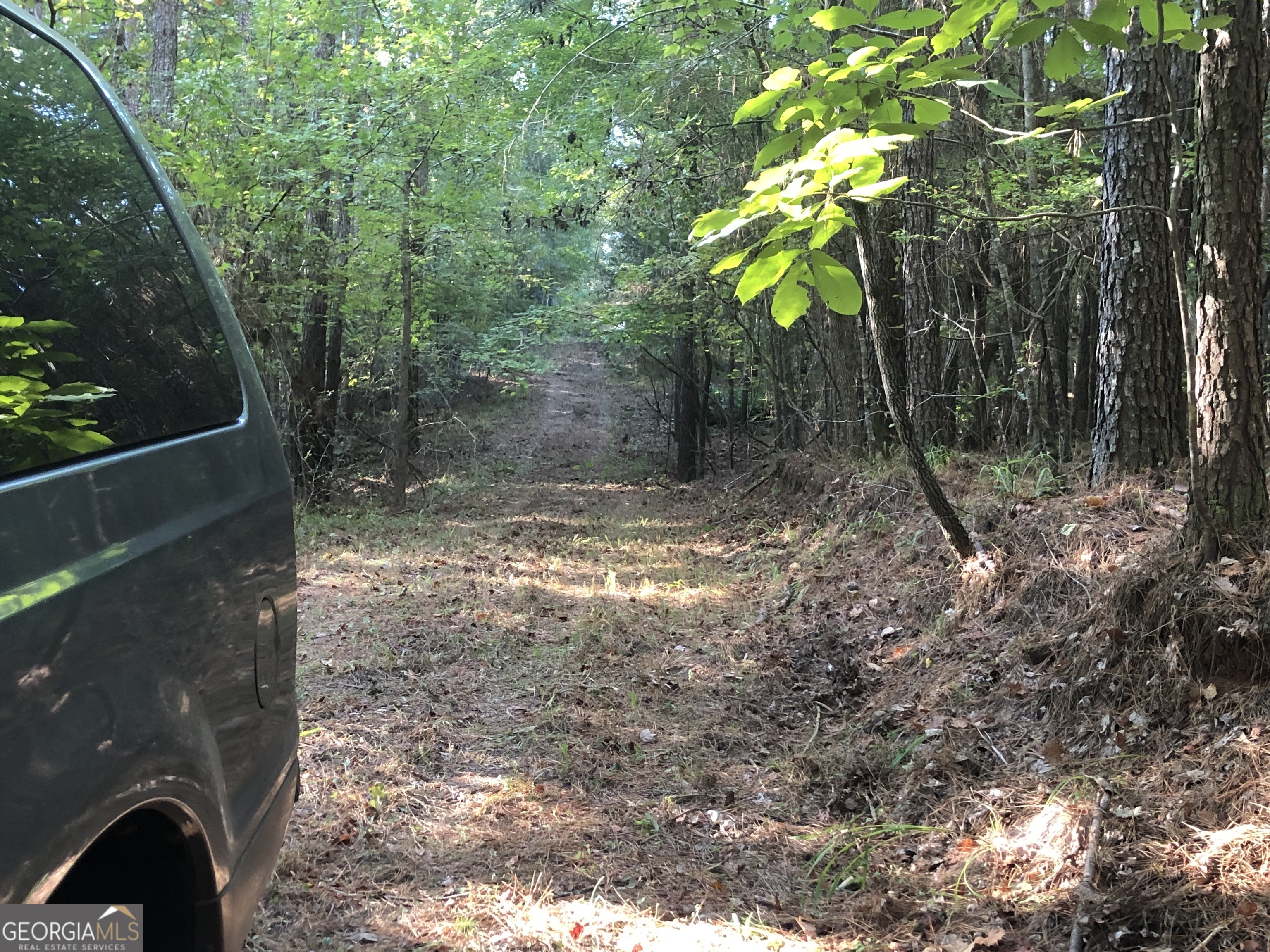 Lot 10 Triune Mill Road Thomaston, GA 30286 - Photo 9 of 29 a view of a yard