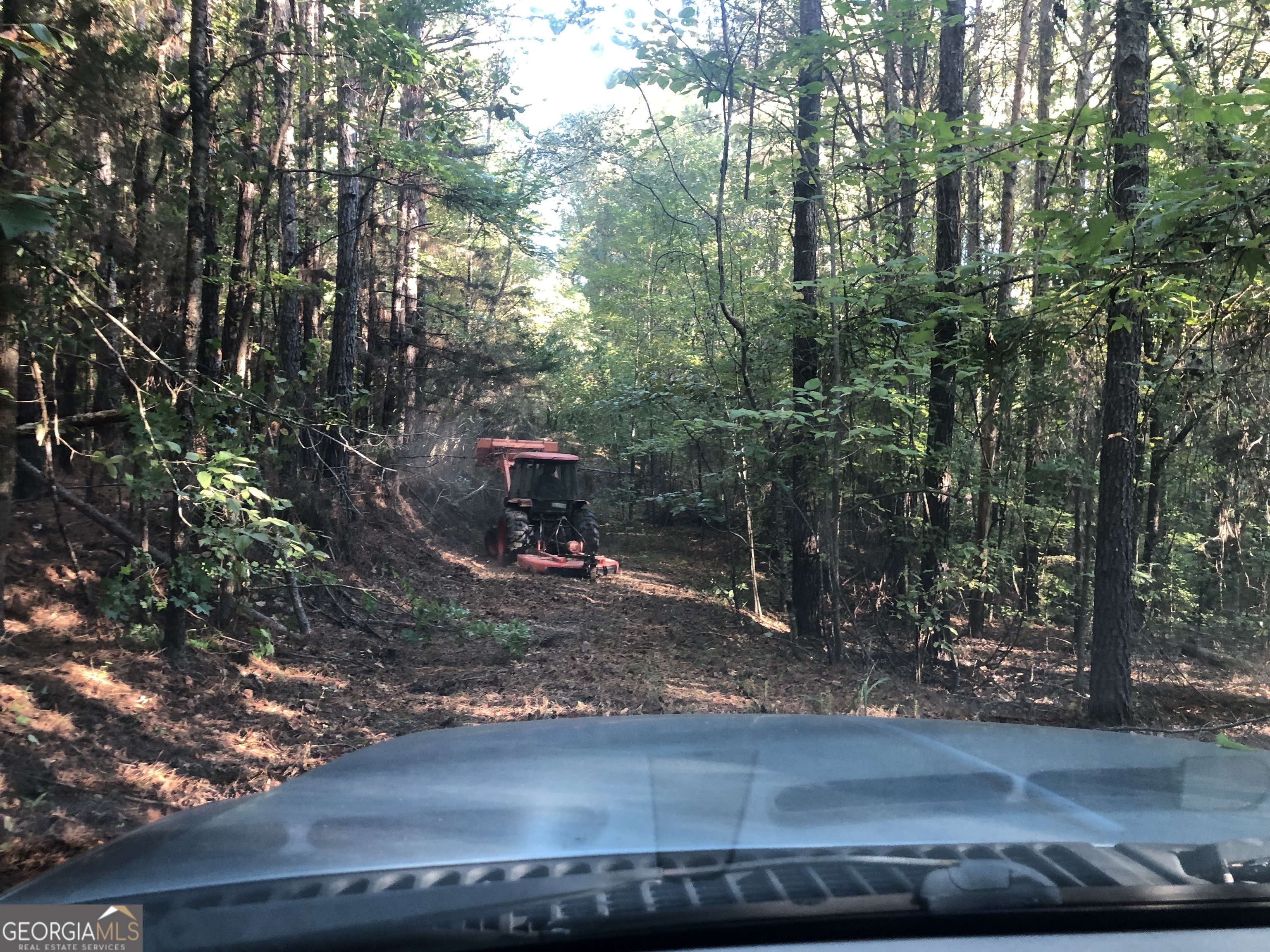 Lot 10 Triune Mill Road Thomaston, GA 30286 - Photo 10 of 29 a view of a park with large trees