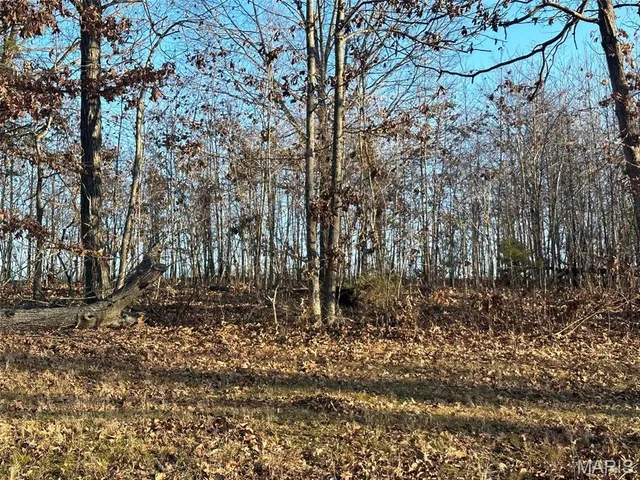 $45,000 | 25 Wagon Creek Loop, Creal Springs, IL 62922