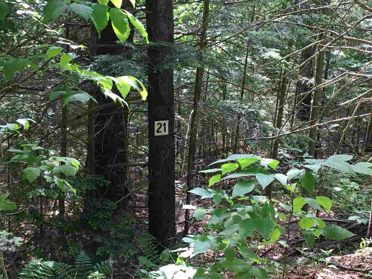 21 South Ryder Pond Road Whitingham, VT 05342 - Photo 2 of 6