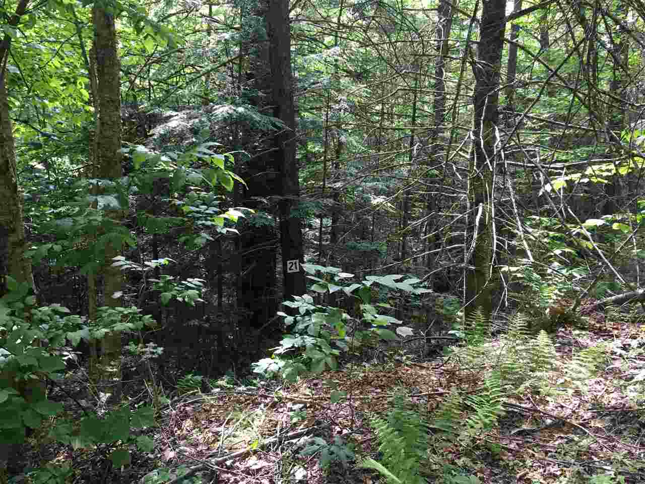 21 South Ryder Pond Road Whitingham, VT 05342 - Photo 3 of 6